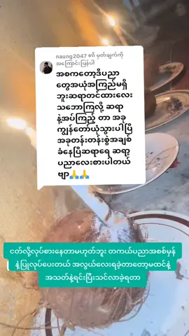 @naung2047 ကို အကြောင်းပြန်နေသည် 