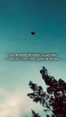 🐺🖤