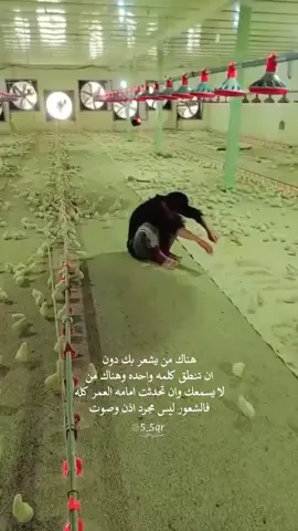 #❤️❤️❤️ اللهم ارزقني بشويه كتاكيت زي دول يحسو بيا🥹