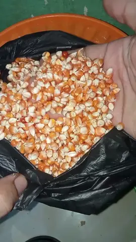 bikin popcron lagi #rizalel #tiktokfood #foryou 
