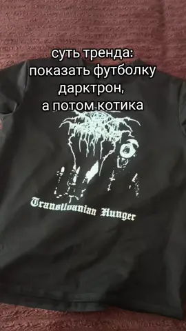 милый котик #dsbm #metalhead #blackmetal #darktrhone #cat#котик 