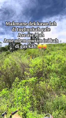 #masukberandafyp #petaniindonesia🇮🇩🇮🇩🇮🇩🌿🌿 #salamjemekitegale #empatlawang #pagaralam 