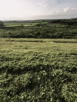 水晶很脆弱，夕阳很快就会褪色。人心难测，相聚又分崩离析 “ Pha lê dễ vỡ , hoàng hôn chóng tàn . Lòng người khó đoán hợp rồi lại tan” #xuhuong #fyp #tamtrang #buon #chill 