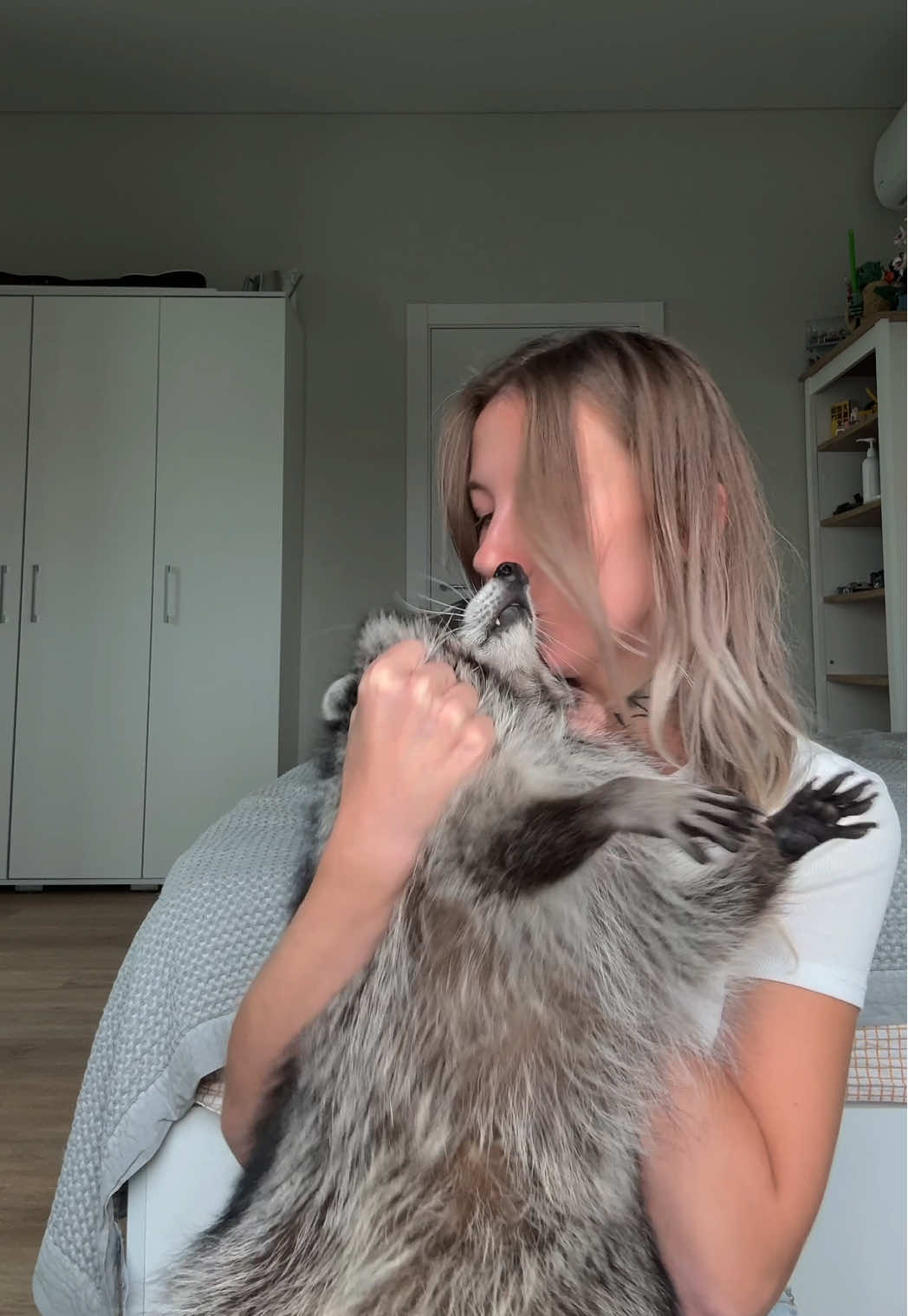 Мой тг: raccoonbulochka 