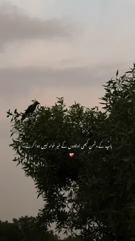 🙌🏻__#tik_tok #explore #viralvideos #fyp #billimf__ 