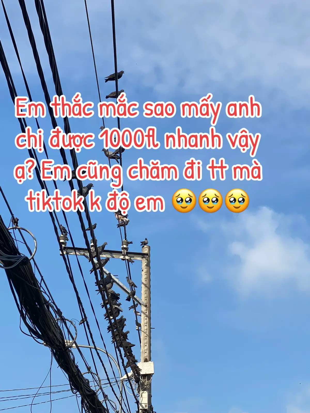 Định làm tiktok kím chút ít mà kiểu này hẻo rùi 🥲#viral #ttlktiktokshop🔥 #thịnhhành #ilovetiktok 
