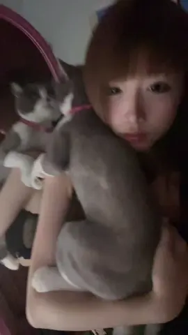 Em yêuuuu #xhhhhhhhhhhhhhhhhhhhhhhh #viral #xuhuong #tinhyeu #pet 