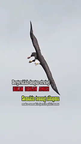 #storyanakrantau45 