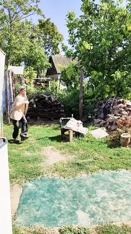 Веселун 