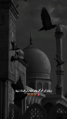 #اذ_نادى_ربه_نداء_خفيا#صدقه_جاريه_لجميع_اموات_المسلمين#رحمه_الله#قران_كريم_ارح_سمعك_وقلبك❤️🌿#انس_الشريف  @الشيخ ماهر المعيقلي  