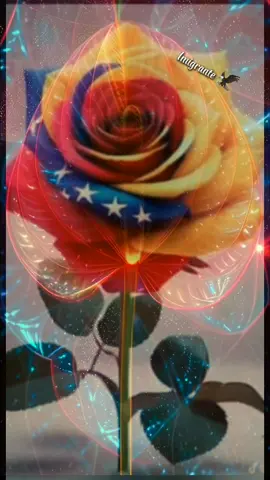 #venezuela #buendia #arepa #arepasvenezolanas #buenosdias #mipais #hallacasvenezolanas 