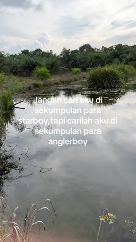 #storymancing #anglerboy🎣 #foryoupage