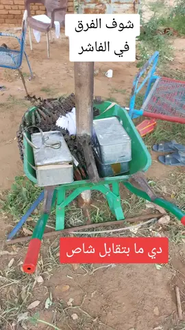 #الشعب_الصيني_ماله_حل #الفاشر_السلطان #طرابلس_بنغازي_المرج_البيضاء_درنه_طبرق 