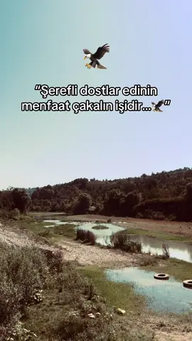 Can dostunu etiketle…🦅#storilikvideolar📌 #albunukeşfetetiktok #kesfettttttttttttttttttttttttttttt #şanlıurfaprovince #cumasdf 