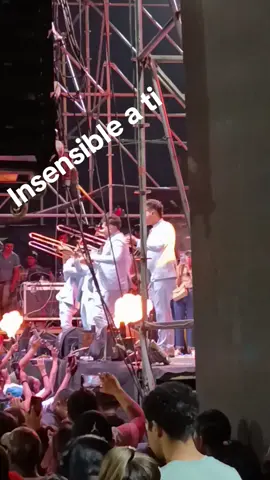 Euphoria en Santa Cruz Disfrutamos junto a toda esa gente de Santa Cruz 🔥🦋🔥