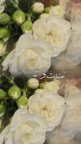 #🌸🌸🌸🌸  