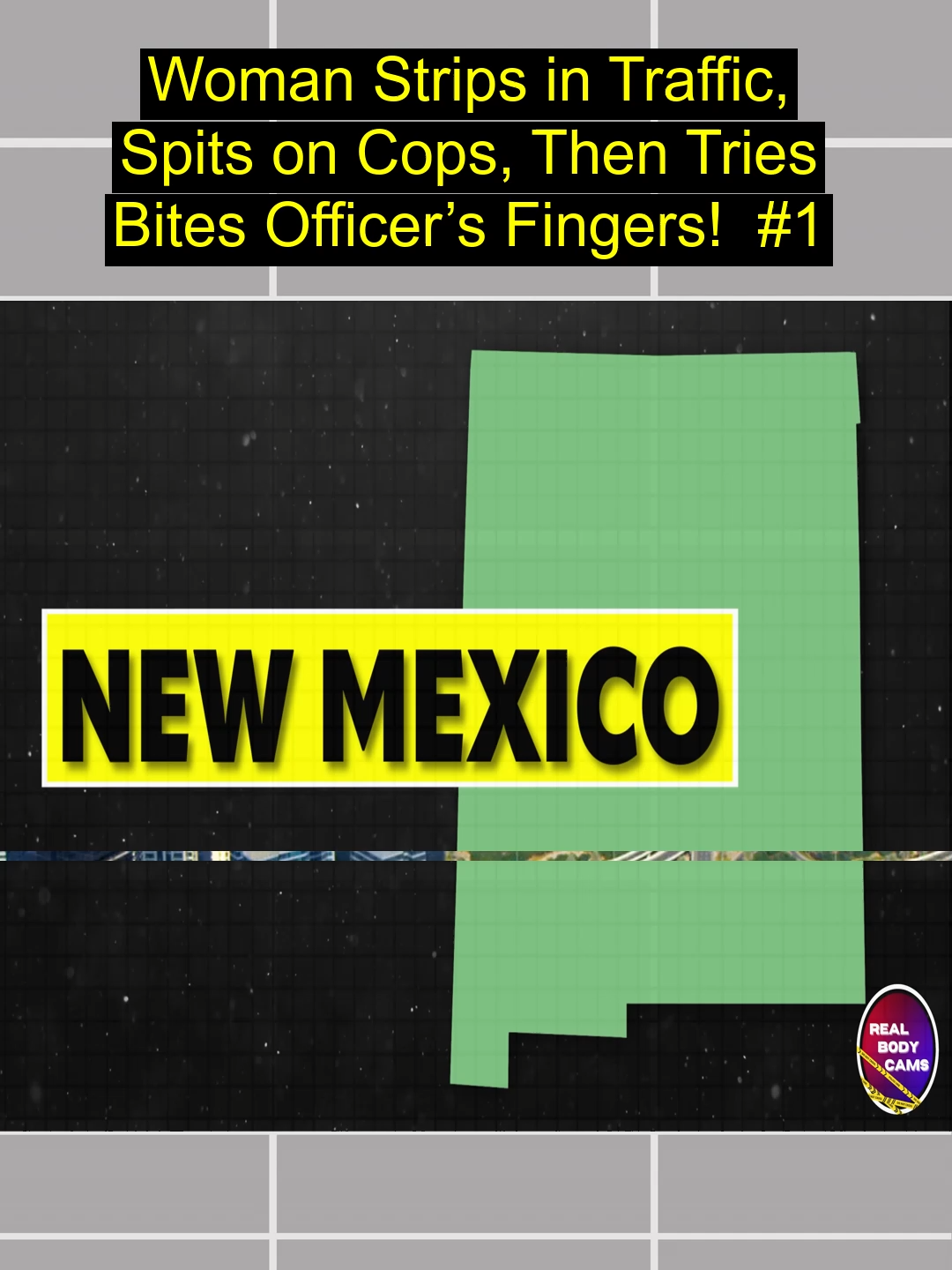 _Woman Strips in Traffic, Spits on Cops, Then Tries Bites Officer’s Fingers!   #1