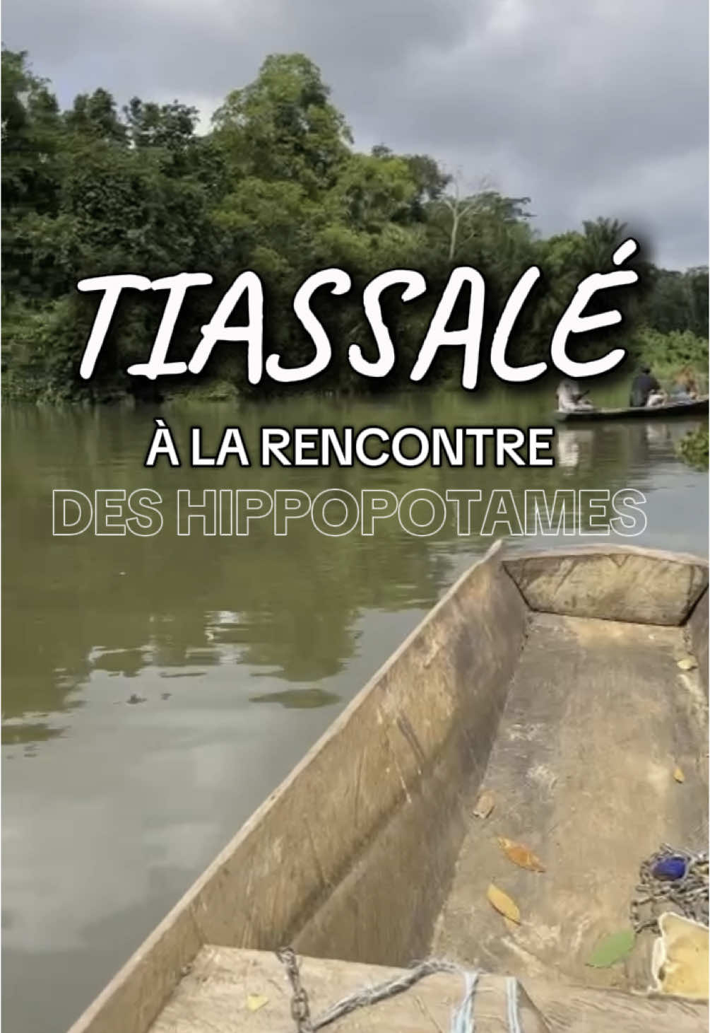 À Tiassalé, les géants dorment… mais la nature veille 🦛🌿