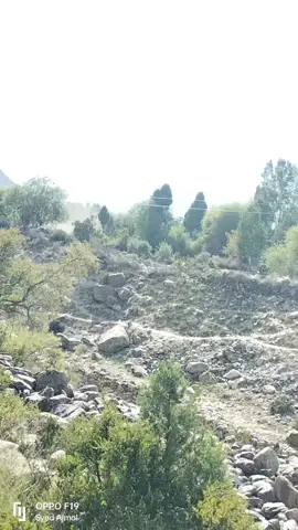 #upperchitrl #dewser #flood 😭😭#repost #videO 