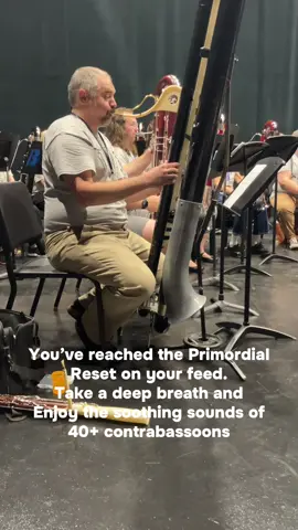 Crank that volume. #bassoon #contrabassoon #reset 