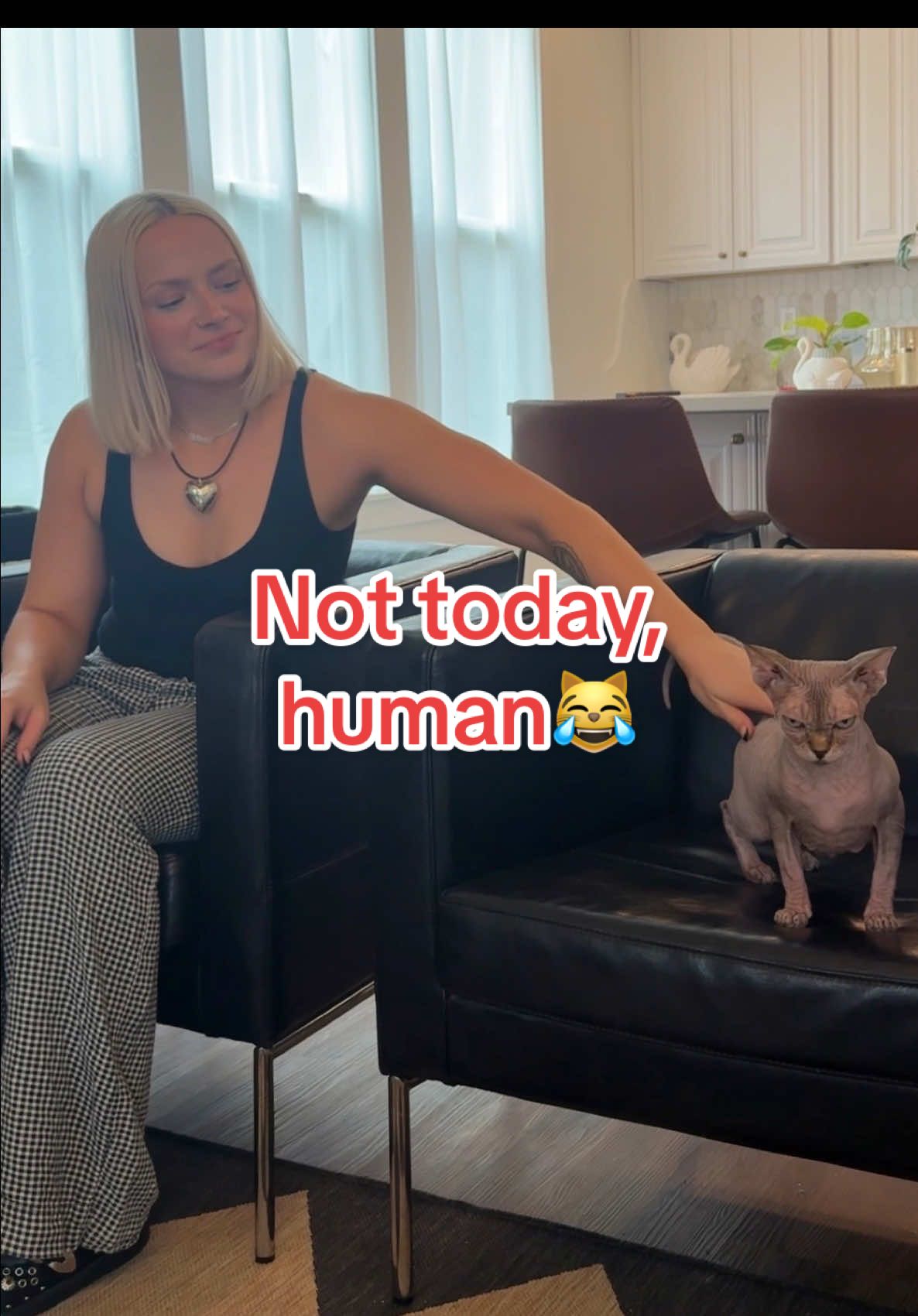 They’re not ignoring you…they’re just setting boundaries 💅 Tag a fellow cat parent who understands this vibe 🐾😹 #petsmart #anythingforpets #sassycat #cattitude #catsoftiktok #cattok @remy & viv 