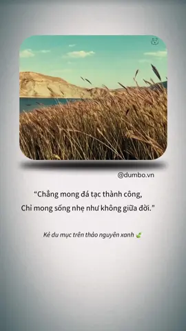 Chẳng mong đá tạc thành công, Chỉ mong sống nhẹ như không giữa đời.🍃 #dumbo #binhyen #chualanh #fyp #thinhhanh