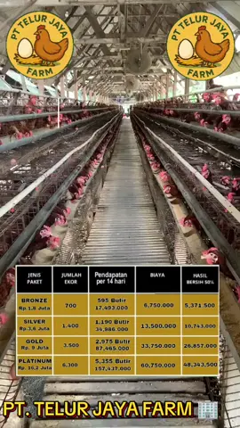 MAU MEMPUNYAI  BISNIS AYAM PETELUR  TAPI MODAL YA TIPIS  DAN TIDAK PUNYA KANDANG  MARI BERMITRA  BERSAMA KAMI  PT. TELUR JAYA FARM DIJAMIN UNTUNG BESAR  CUKUP TITIP MODAL 3,6 JT  SUDAH BISA PROFIT 10.743.000 RB .  PER 14 HARI  SUKSES BERSAMA KAMI  PT . TELUR JAYA FARM 🏢#peternaksukses #peternakmuda #petrnakayamindonesia #peternakayam #peternaksuksesindonesia 