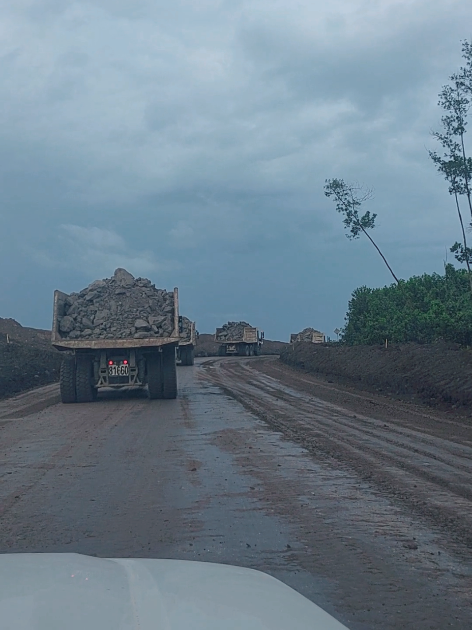 heavy equipment. #tambangbatubara #truk #truck #fyp 