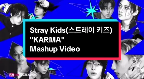 Stray Kids(스트레이 키즈) 