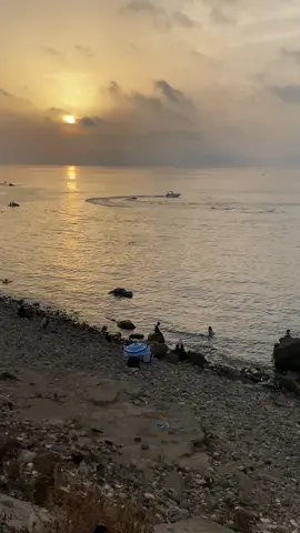 🇩🇿⚓️🚤