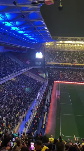 kimilerine göre anlamsız bize göre hesapsız.#fenerbahçe 