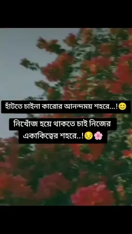 #beshi_beshi_share_korio_plzz🥺🙏🙏🙏🙏🙏 #copylinkplease💗 #💗💞tiktoquerasbeauty💞💗 #viraltiktok_videos😉 #sylhety_furi 