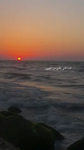 #foryou #fyppppppppppppppppppppppp #بدون_موسيقي #viralvideo #withoutmusic 