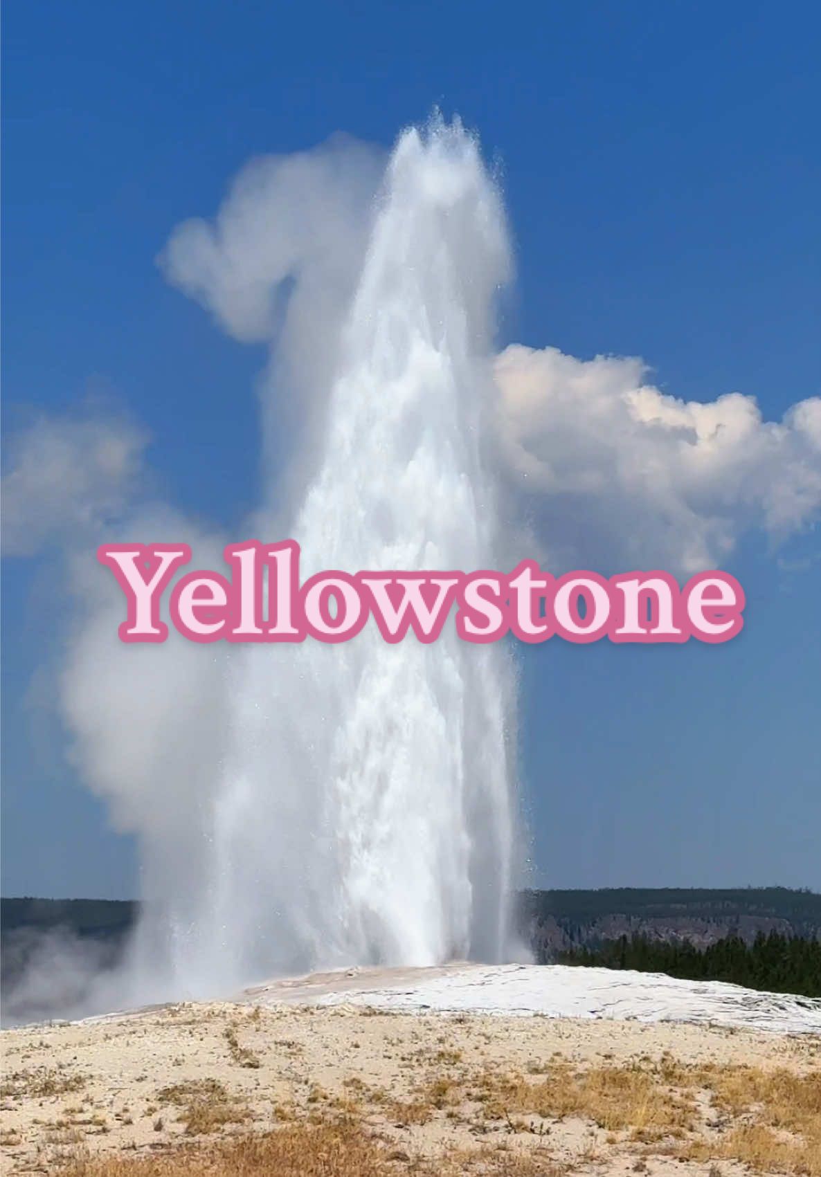 Comment if you have or want to go to Yellowstone! #yellowstone #CapCut 