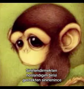 Cokosurdilerim #meme #kesfet #kesfetteyiz #kesfetbeniöneçıkart #monkey 