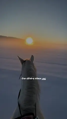 #hawler #erbil #kurdistan #zaxo #duhok 