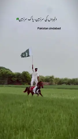 14August 🇵🇰#گھوڑے_شوق_نواباں_دا🐴mashallah ##unfreezemyacount #alhamdulillah__الحمد__لله ##trendingay🔥 #trendingay🔥 #rayzarghamhorse ##trendingay🔥 #hfdstudio #a#hfdlh_✨  #CapCut 