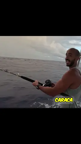 Já imaginou viver a vida em alto-mar? 🌊⛵ Confira as ideias incríveis nos cortes do @irmaoskatoosh e me diga: você toparia morar em um veleiro?