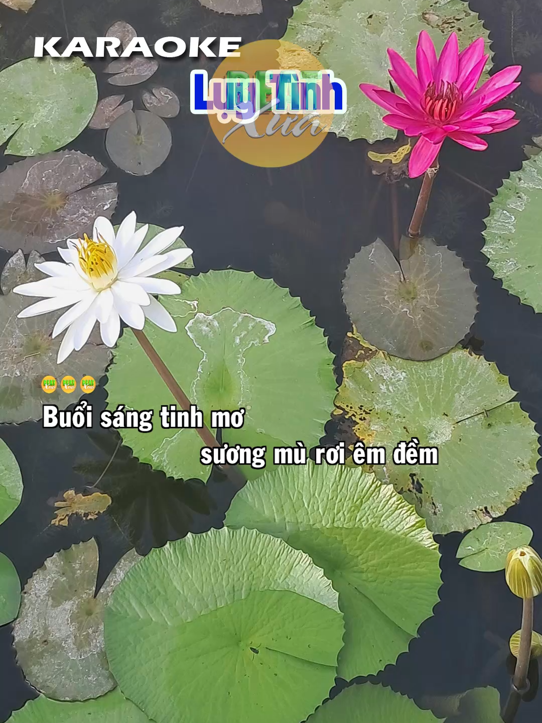 #Luytinh #LeBaVinh #Luytinhkaraoke #xuhuong #bingophukhanh #tonenu #karaoke #karaoketainha #karaoketiktok #tonenam