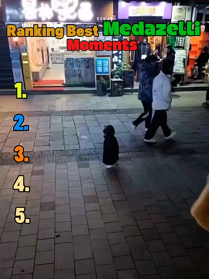 Funniest Medazelli Moments | #medazelli #funny #funnyvideos #funnypets #funnyanimals #funnytiktok #dog #cat #funnydog #funnycat #animalsfunny #Vlog #animalsoftiktok #animals