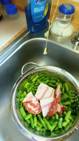 Cooking green beans 🫘 seasoned with fatback. I cook mine till they’re dry or in simpler terms no water is left. What y’all season yours with? How do you cook yours? #CountryCooking #SouthernKitchen #MamaStyleCooking #CountryFoodLove #SouthernTradition #LikeMamaMadeIt #FatbackFlavors #FarmhouseCooking #CountryComfortFood #SouthernFlavor #FromTheGardenToTheTable #GreenBeansAndFatback #DownHomeCooking #CountryKitchenMagic #SouthernCookingSecrets #OldFashionedGoodness #CookedWithLove #CountryFoodLife #SouthernFoodie #HomeCookedSouthern #LIVEIncentiveProgram #LIVEStory #PaidPartnership 