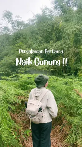 dibilang fomo ya emg iya😭 tp gpp aku pengen post ini, biar terdokumentasi aku memulai disini, ini jg yg menentukan apakah ingin lanjut naik lagi atau kapok hehe.. next semoga bisa kembali lg mengunjungi tempat ini🙌🏻🍃 #bukithitam1933mdpl #bukithitamkepahiang #wisatakepahiang #bengkulu #fyp 