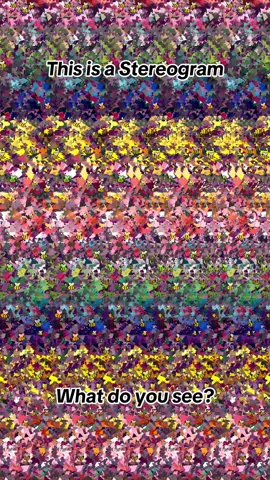 Spring Bloom #stereogram #opticalillusion #magic #eyetrick #flowers