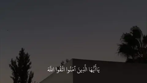 سورة | الحشر القارئ | عمر ضياء الدين  . . . #قران #quran_alkarim #quran #اكتب_شي_توجر_عليه #عمر_ضياء_الدين 