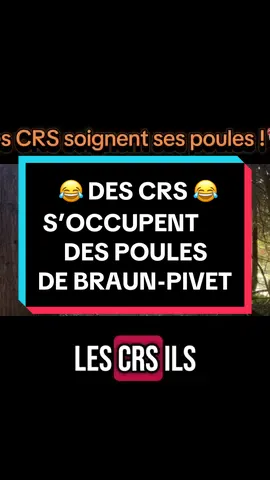 Les CRS, payés par nos impôts, chargés de nourrir les poules d’une élue de la république ! #yaelbraunpivet #poules#humour 
