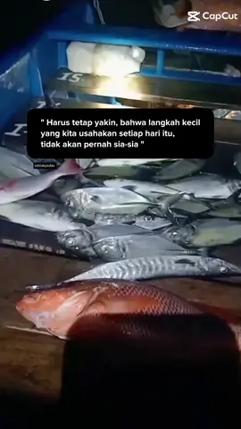 #storpelaut #pelautmuda  #fyp pelaut Indonesia 🇮🇩 #fyp nelayan pesisir barat Lampung 
