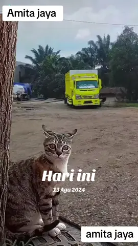 #padahariini