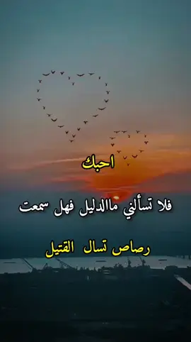 احبك فلا تسألني ماالدليل فهل سمعت رصاص تسال القتيل#تصاميم #عبارات_جميلة_وقويه#فيديوهات #حب #كلمات_رومانسية #اقتباسات_عبارات_خواطر #رومنسيات_عشاق #اكسبلورexplore #اكسبلور 