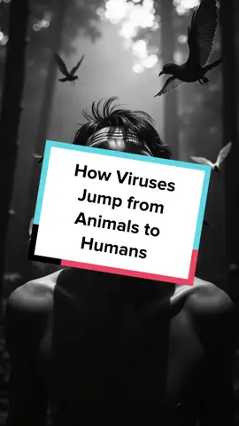 Discover the science behind viral spillover—how deadly diseases leap from animals to humans. Understanding this process could save lives. #Spillover #ZoonoticDiseases #Virus #Science #PublicHealth