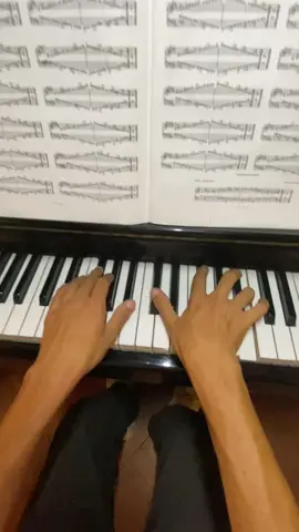 The Winner Takes It All - ABBA #piano#thewinnertakesitall#ABBA#fyp#viral